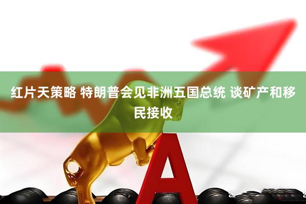 红片天策略 特朗普会见非洲五国总统 谈矿产和移民接收