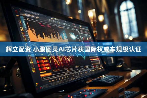 辉立配资 小鹏图灵AI芯片获国际权威车规级认证